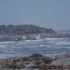 Peggys Cove 2011_09